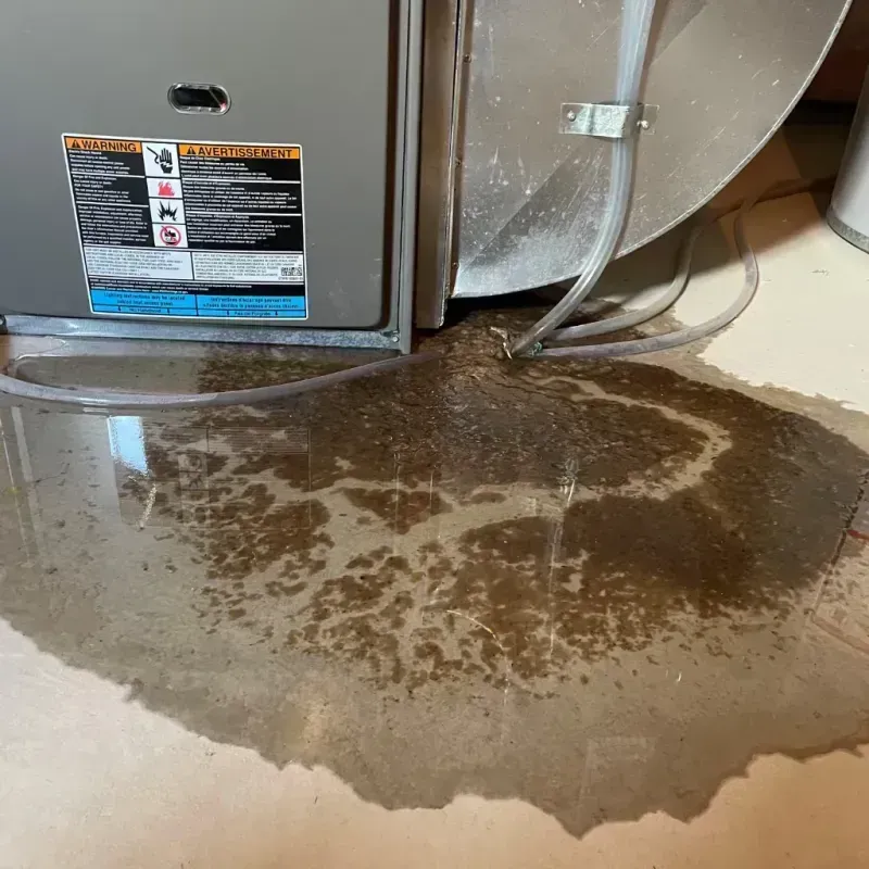 Appliance Leak Cleanup in Kuna, ID